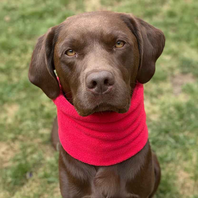 Fleece Dog Snoods - Medium to Large