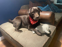 Betty seal of approval
