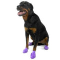 Pawz Dog Boots Purp Large 12 Pack