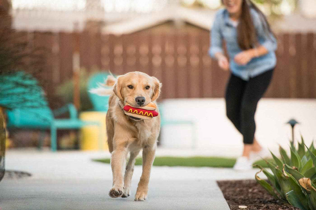 American Classic Hot Dog Enrichment Toy