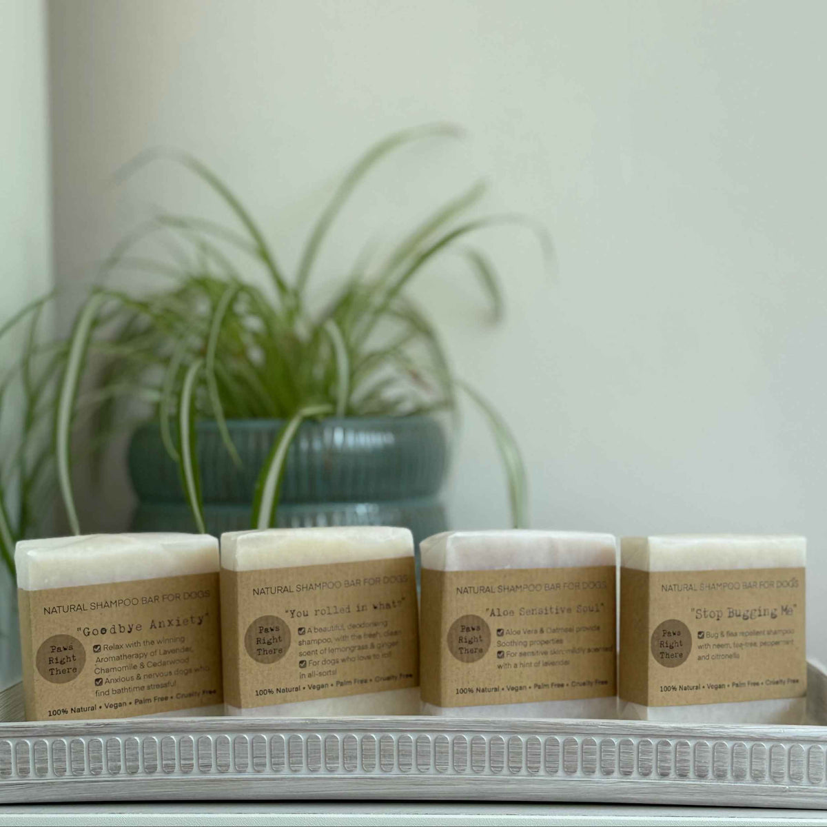 You Rolled in What?! Natural Deodorising Dog Shampoo Bar – 80g