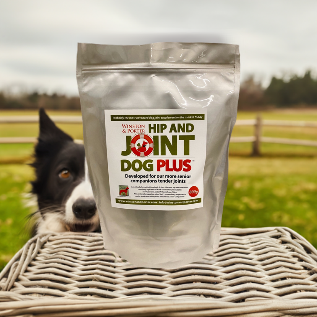 Winston and Porter Hip & Joint Dog PLUS supplement powder for canine joint support, featuring a scoop and jar of supplement.