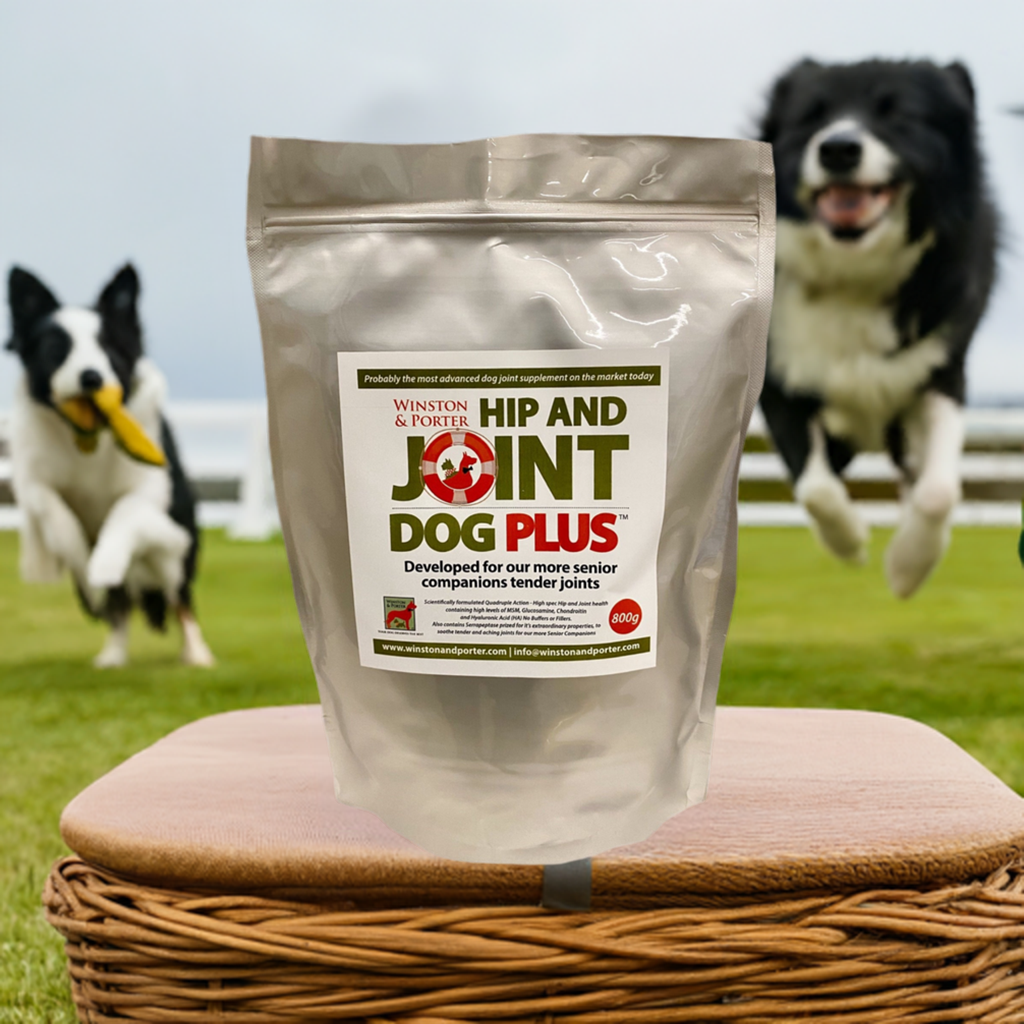 Winston and Porter Hip & Joint Dog PLUS supplement, high-strength canine joint support powder for active dogs in the UK.