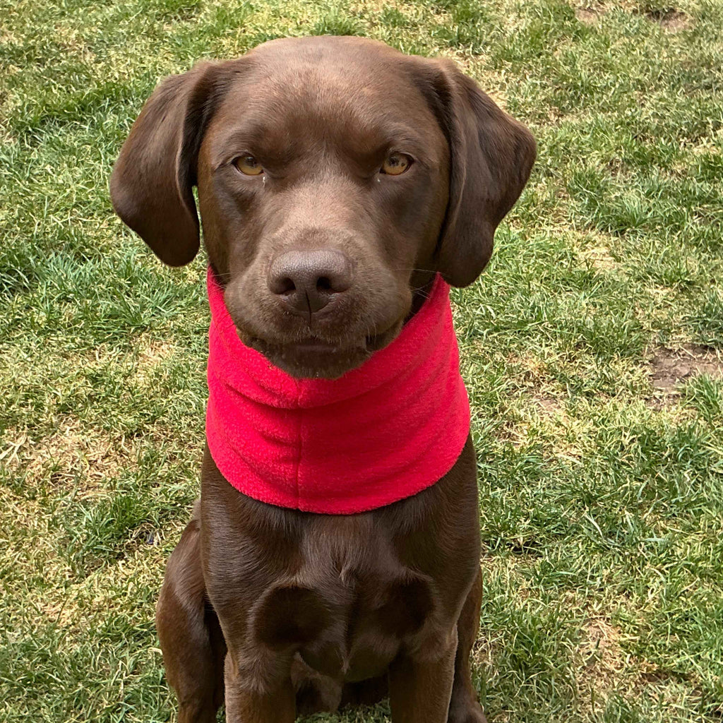 Fleece Dog Snoods - Medium to Large
