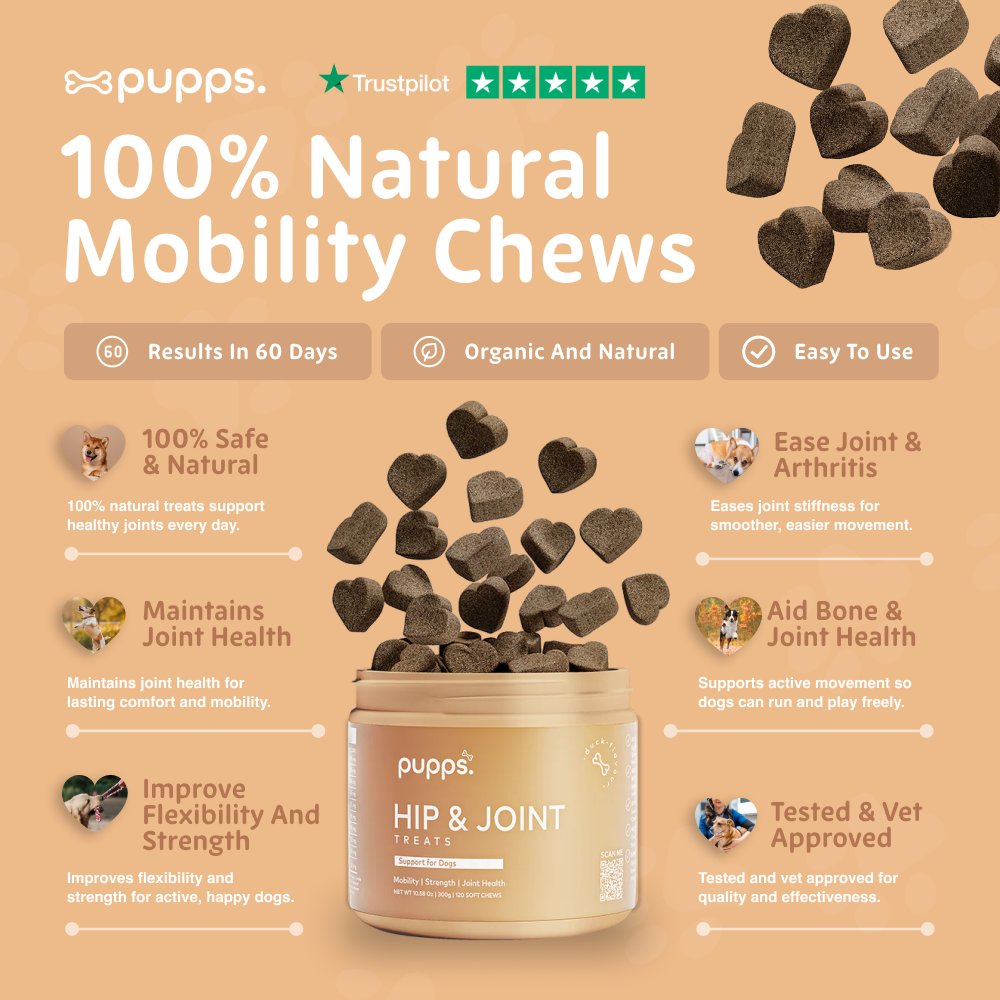 Pupps Hip & Joint Treats container with visible treats and main ingredients, designed to support joint health for dogs.