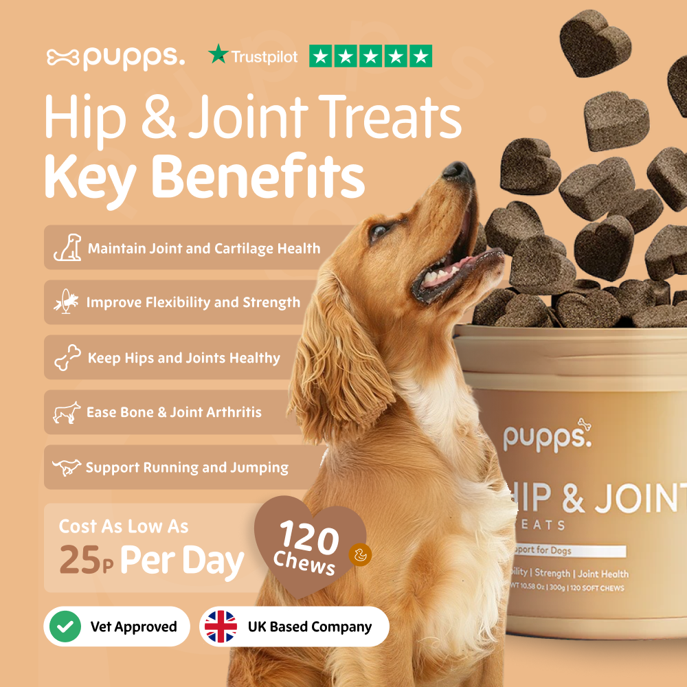 Pupps Hip & Joint Treats for dogs, showing a close-up of the treats in a bowl on a wooden surface.
