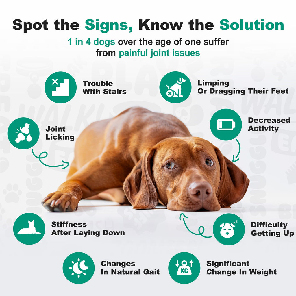 Doggie Dailies Advanced Senior Hip & Joint Chews for Dogs (Duck) - 120 Count