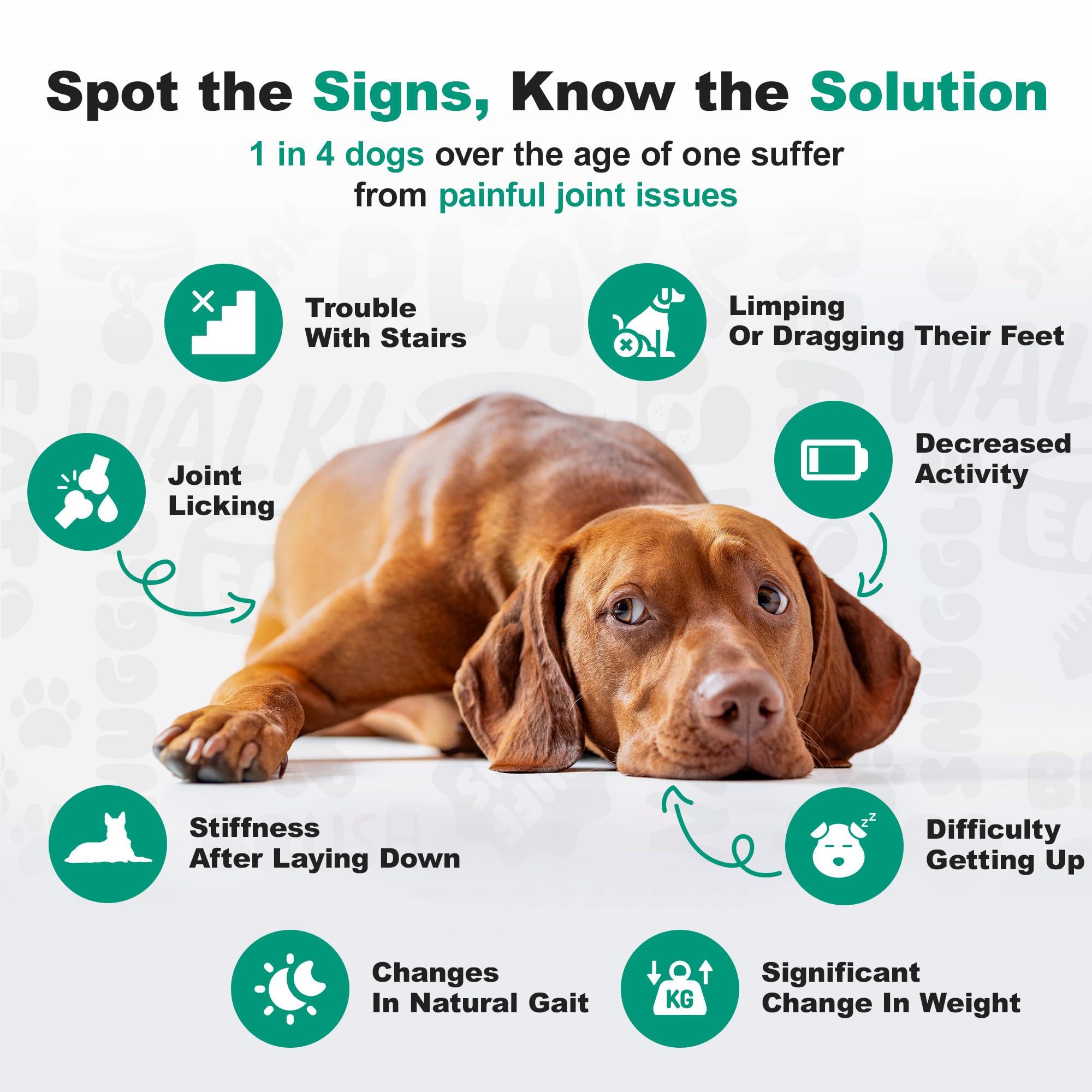 Doggie Dailies Advanced Senior Hip & Joint Chews for Dogs (Duck) - 120 Count