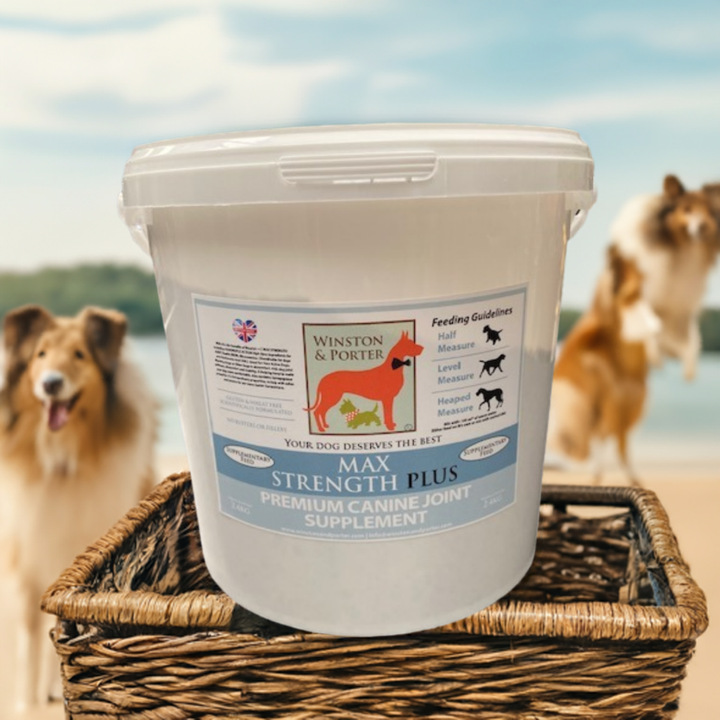 Winston and Porter Max Strength Plus canine joint supplement bottle with tablets for dogs' joint health.