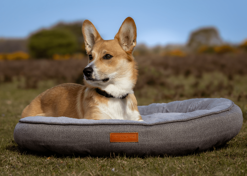 Grey Ralph & Co Balmoral luxury herringbone donut dog bed with plush cushioning for comfort and relaxation.