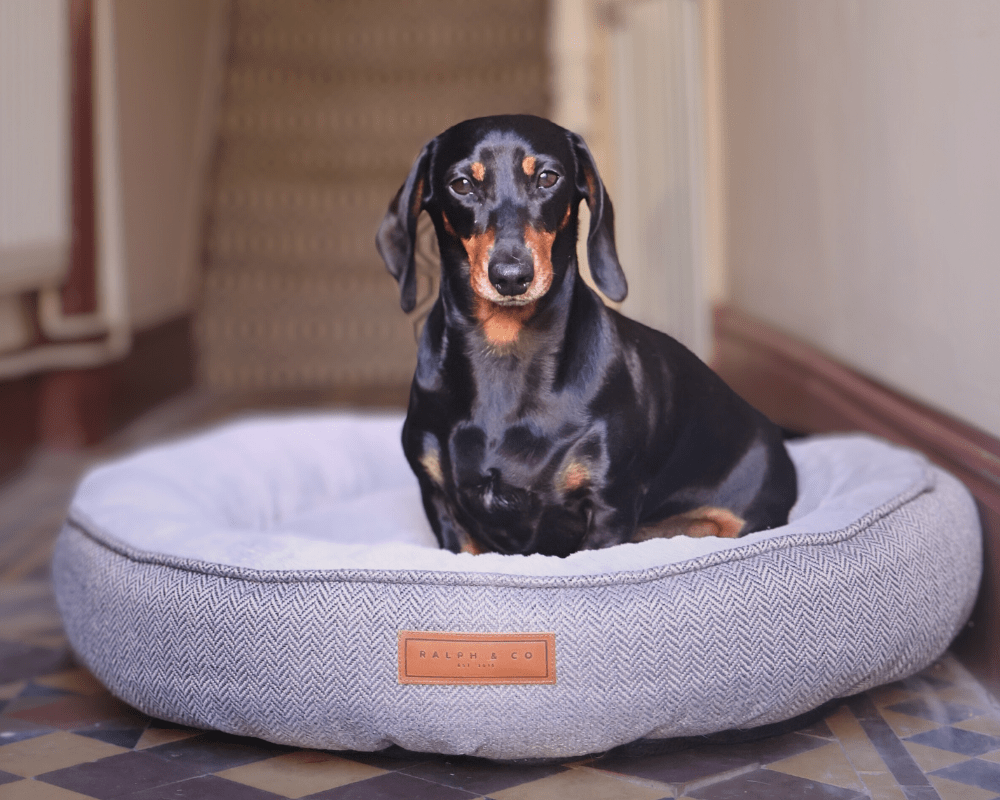 Grey Ralph & Co Balmoral luxury herringbone donut dog bed with plush cushioning and raised edges for comfort and security.