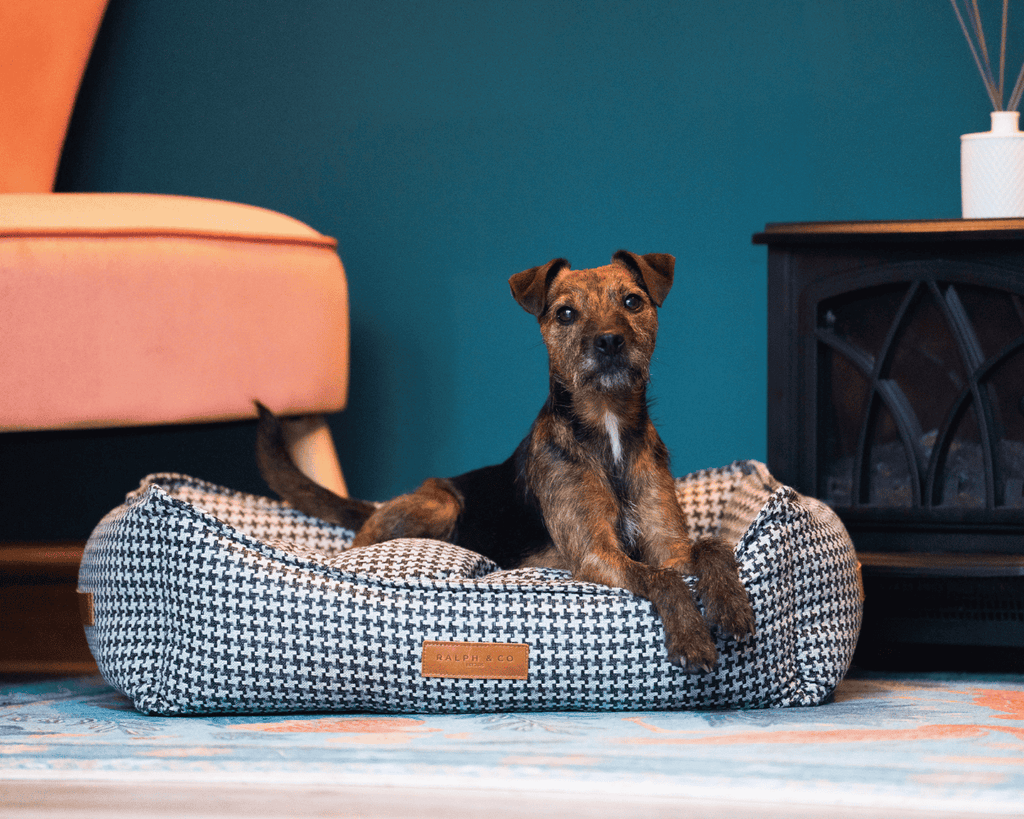 Ralph & Co Kensington luxury houndstooth bolster dog bed with plush nest design and supportive raised edges.