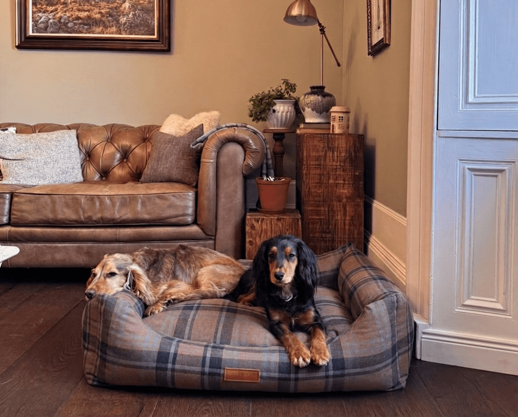 Ralph & Co THE MARLOW luxury tartan bolster dog bed with removable cover, plush nest-style pet bed for comfort and style