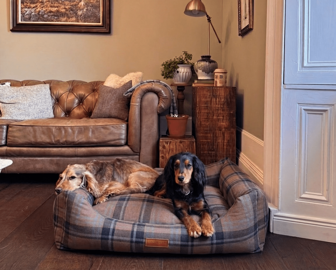 Ralph & Co THE MARLOW luxury tartan bolster dog bed with removable cover, plush nest-style pet bed for comfort and style