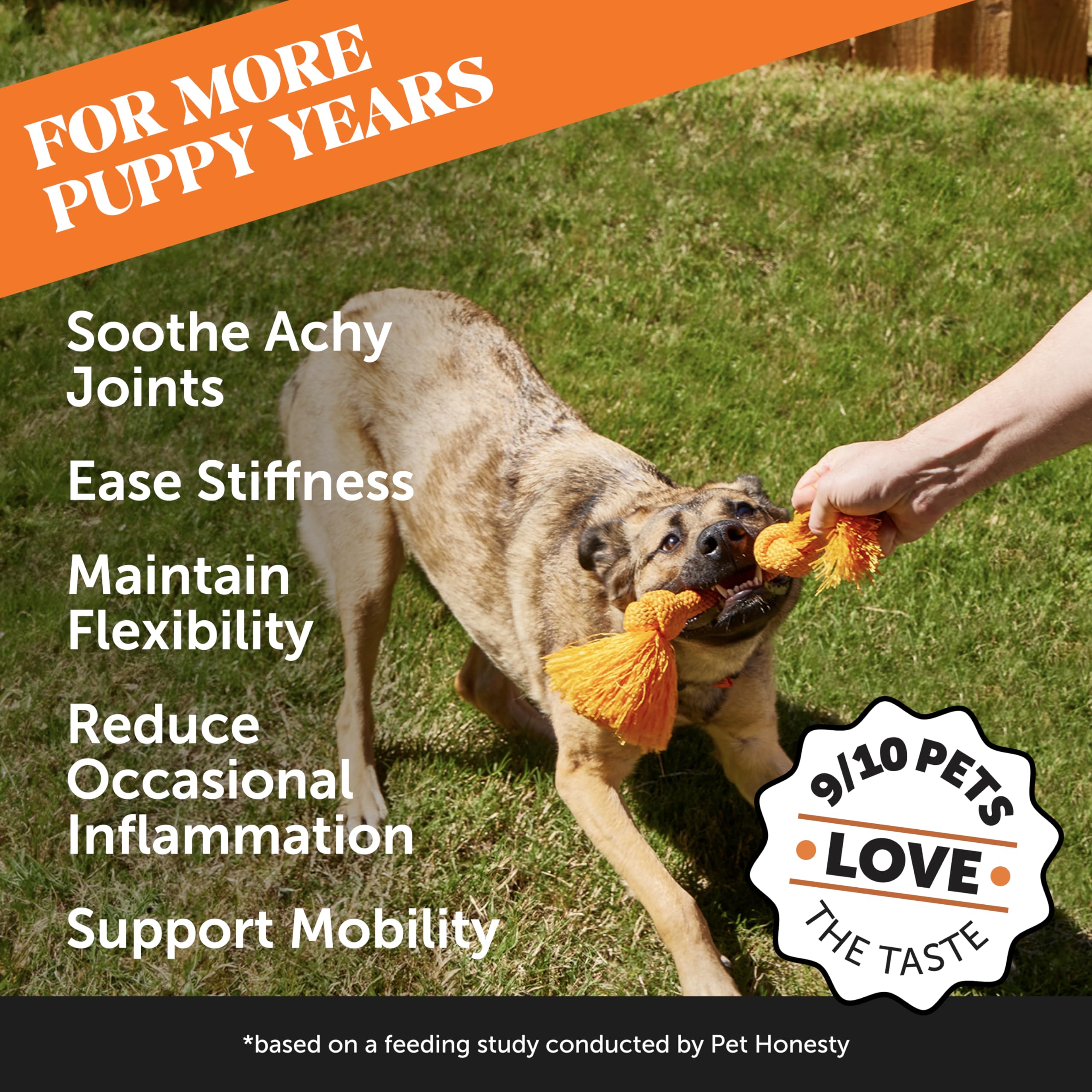 Pet Honesty Hemp Hip & Joint Dog Supplement – Mobility Support (Duck Flavor)