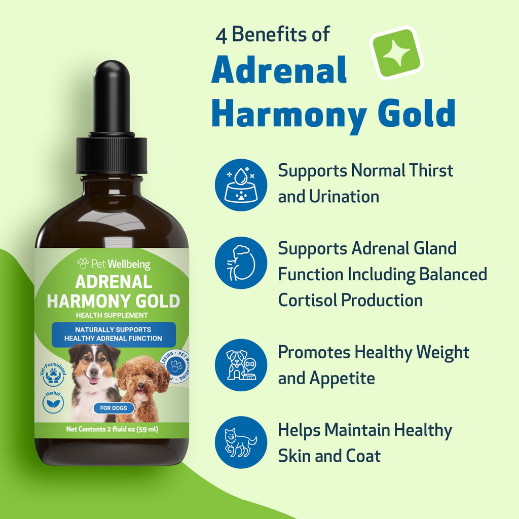 Pet Wellbeing Adrenal Harmony Gold for Dogs – Adrenal Support with Ashwagandha & Bacopa | NASC Certified