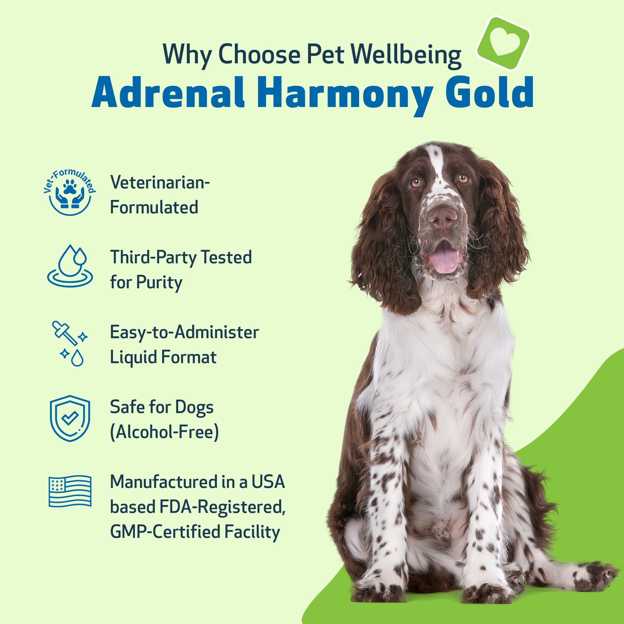 Pet Wellbeing Adrenal Harmony Gold for Dogs – Adrenal Support with Ashwagandha & Bacopa | NASC Certified
