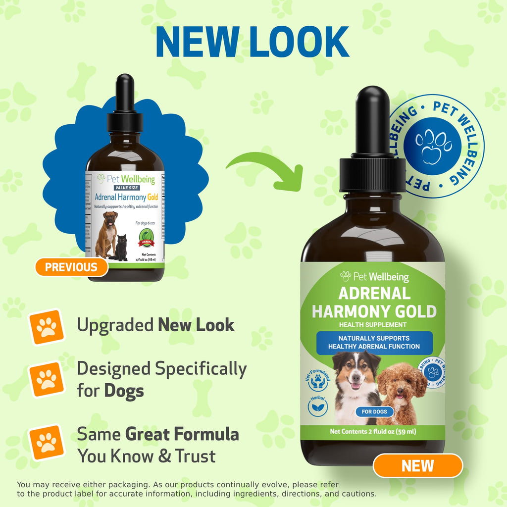 Pet Wellbeing Adrenal Harmony Gold for Dogs – Adrenal Support with Ashwagandha & Bacopa | NASC Certified