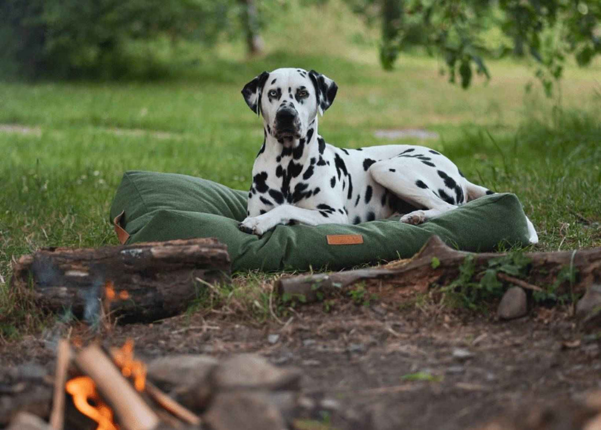 THE RICHMOND | LUXURY GREEN FLAT PILLOW DOG BED