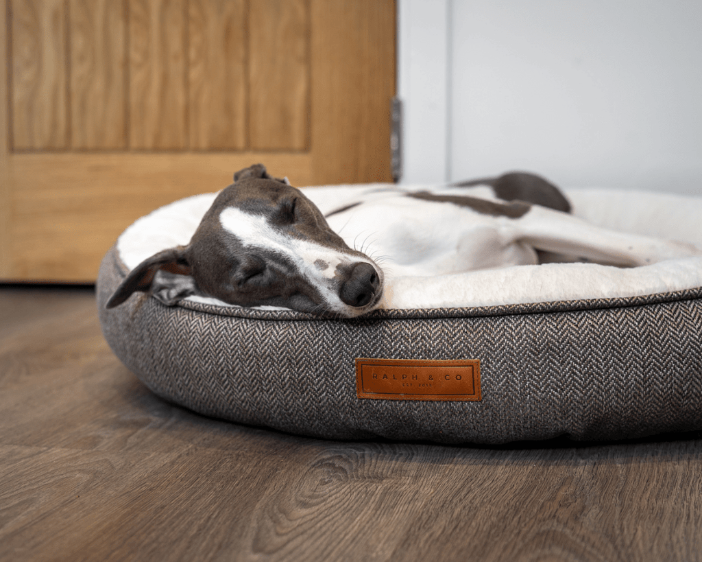 Ralph & Co Lincoln luxury tweed calming donut dog bed with plush interior and rounded design for comfort.