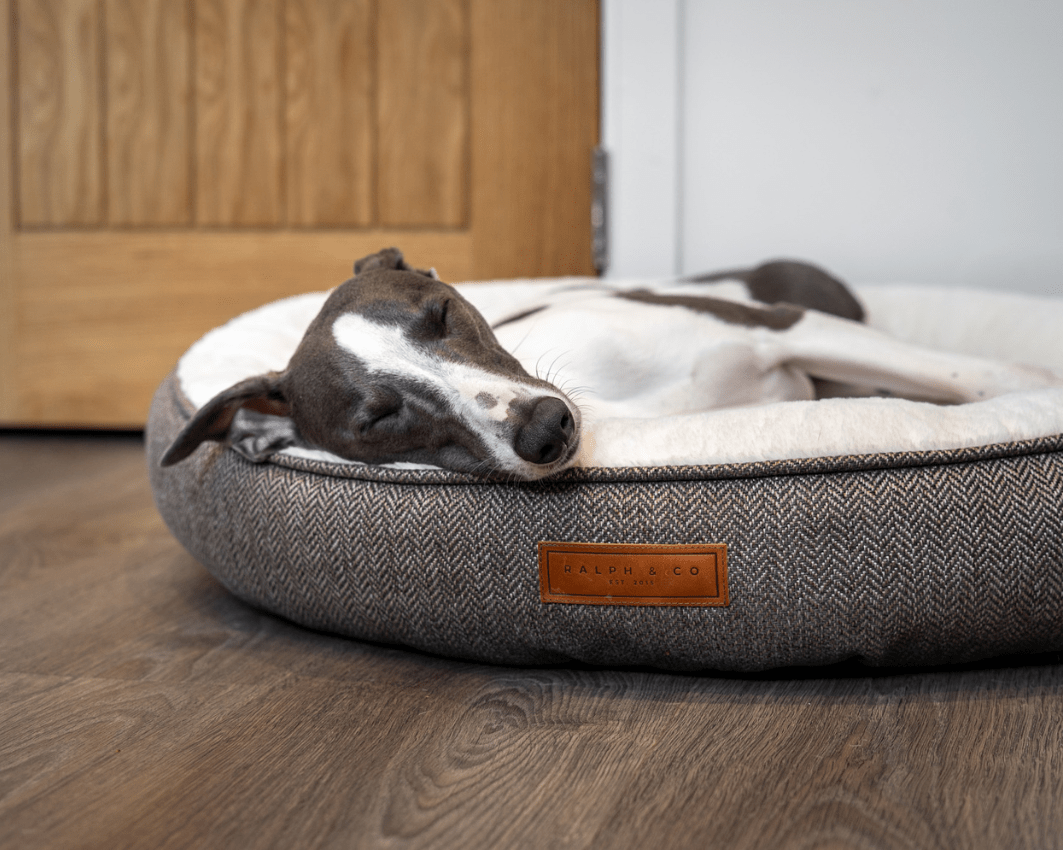 Ralph & Co Lincoln luxury tweed calming donut dog bed with plush interior and rounded design for comfort.