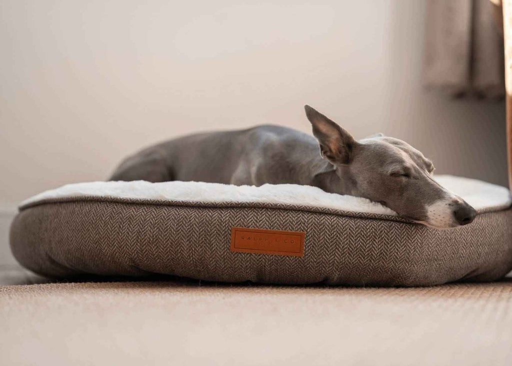 THE LINCOLN | LUXURY TWEED CALMING DONUT DOG BED